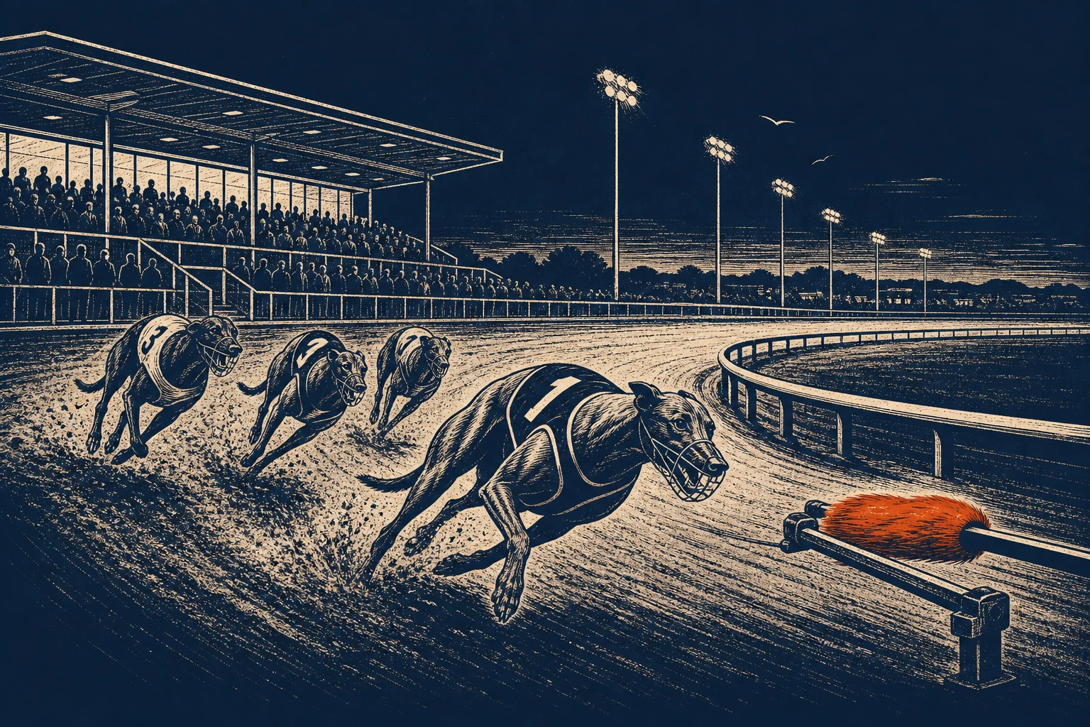 Greyhounds racing at Lifford Stadium, County Donegal