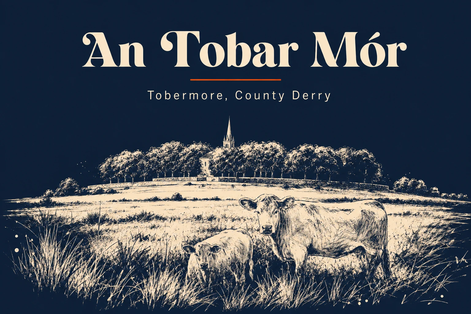 Tobermore, Co. Derry